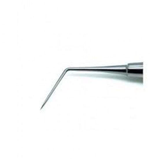 Buy Endodontic Explorer DG 16 WALDENT Online at Lowest Best