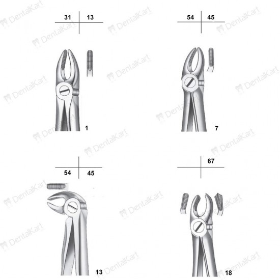 Extraction Forceps Set of 12 WALDENT Dental Instruments Rs.9,821.42