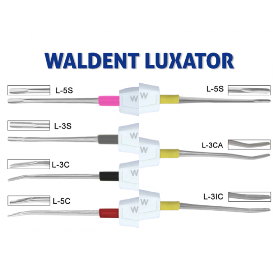 Luxators WALDENT Dental Instruments Rs.1,205.35