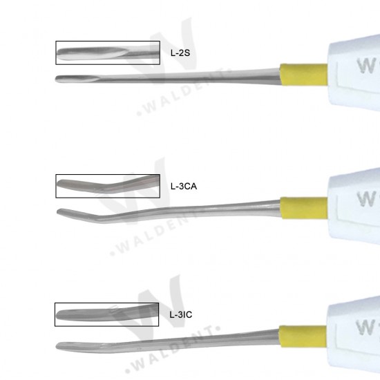 Luxators Set WALDENT Dental Instruments Rs.9,910.71