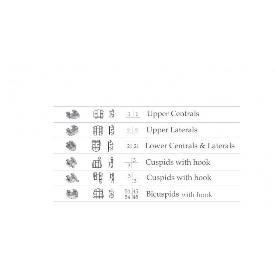 Metal Bracket Kit MBT Metal Bracket Kit MBT WALDENT Dental Instruments Rs.714.28