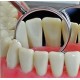 Mouth Mirror Tops Magnifying No. 5 Mouth Mirror Tops Magnifying No. 5 WALDENT Dental Instruments Rs.1,964.28