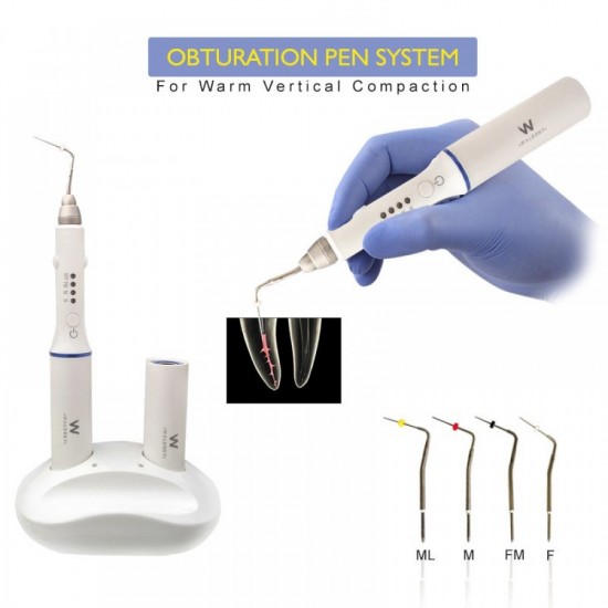 Obturation Pen System WALDENT Dental Instruments Rs.22,321.42