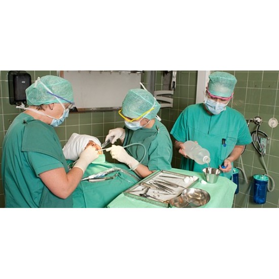 Oral Surgical Instruments Kit of 10 WALDENT Dental Instruments Rs.4,464.28