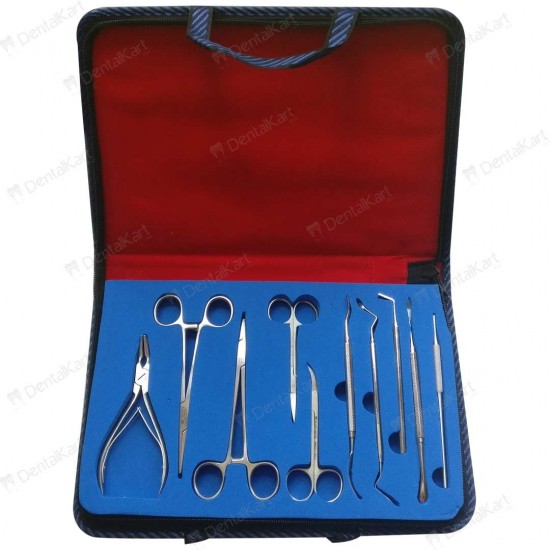 Oral Surgical Instruments Kit of 10 WALDENT Dental Instruments Rs.4,464.28