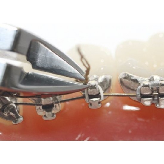 Pin and Ligature Cutter TC Pin and Ligature Cutter TC WALDENT Dental Instruments Rs.2,821.42