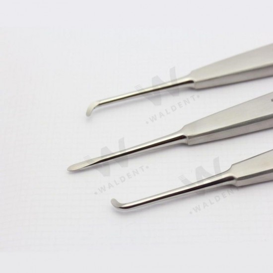 Root Elevators Warwick James Set WALDENT Dental Instruments Rs.2,678.57