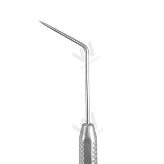 Straight Probe WALDENT Dental Instruments Rs.482.14