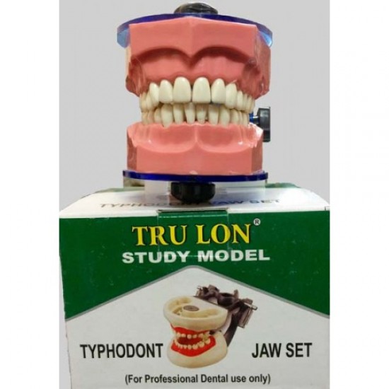 Typodont Jaw Set Trulon Teeths Rs.1,517.85